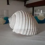 Apartmán Gordana